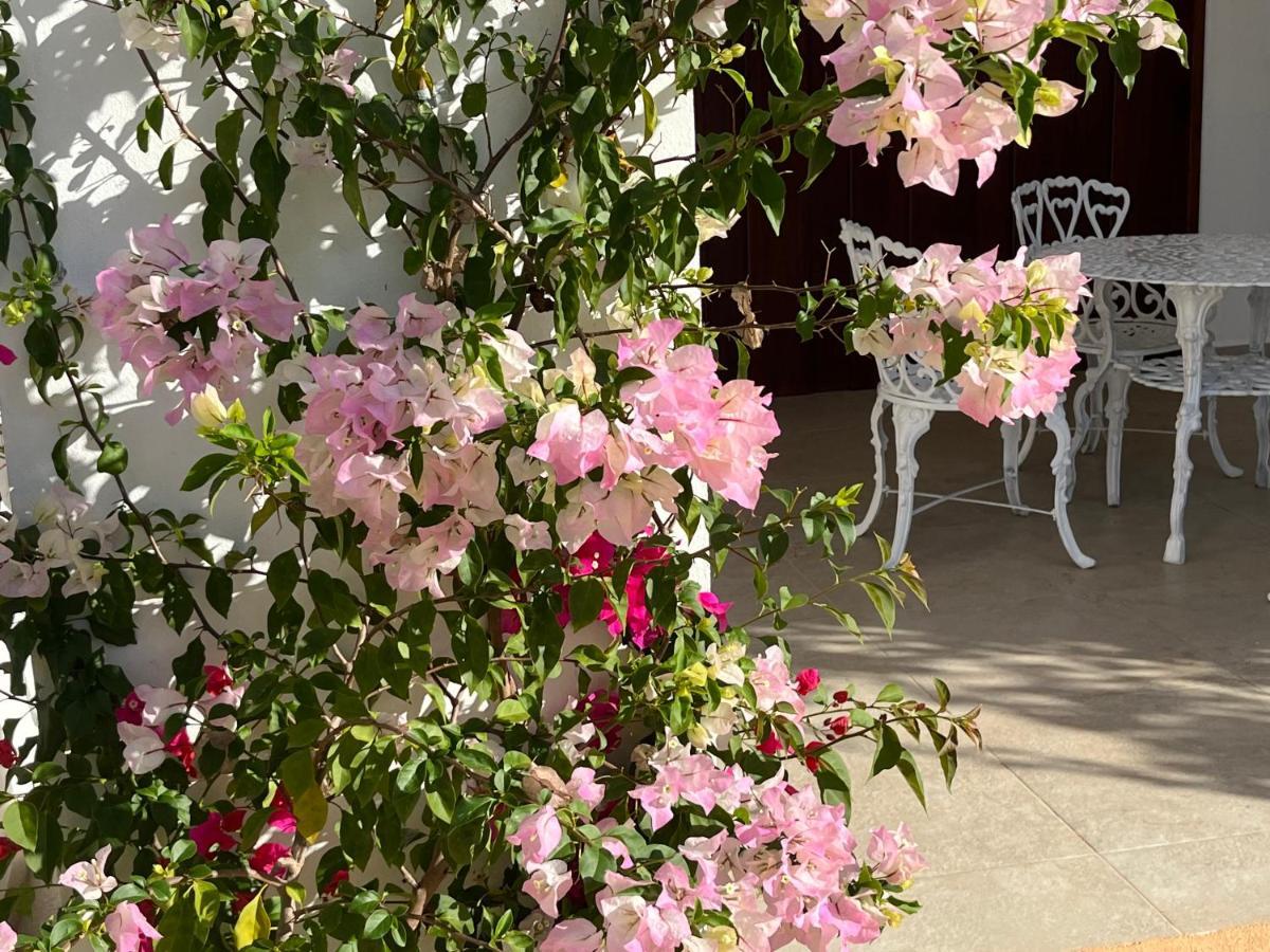 Villas Tikuch Εξωτερικό φωτογραφία